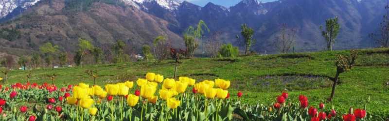 13 Wondeful Places To Visit In April In India