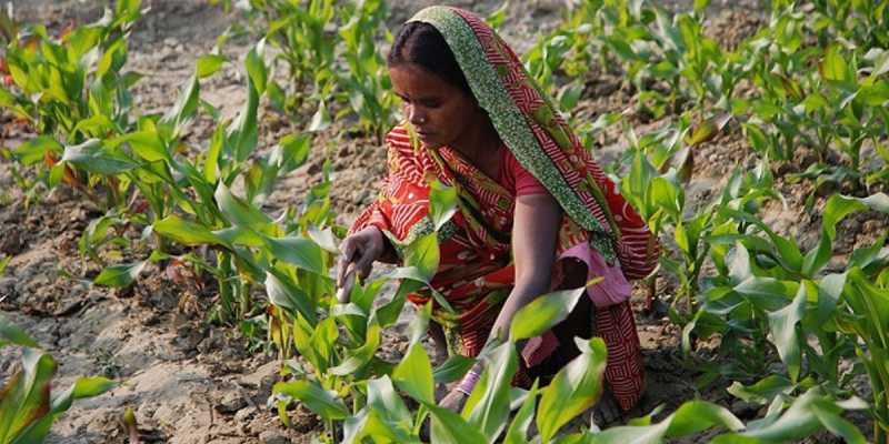 14.5 करोड़ किसानों को मिलेगा पीएम किसान योजना का लाभ - PM Kisan Yojana