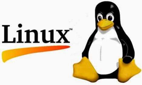 15 Popular Linux Commands With Examples
