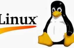 15 Popular Linux Commands with Examples