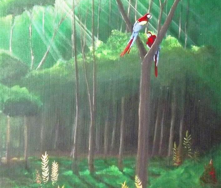 15 Smartphones, Hanging From Trees, Is Helping Save A Rainforest - Ek Titli.Org