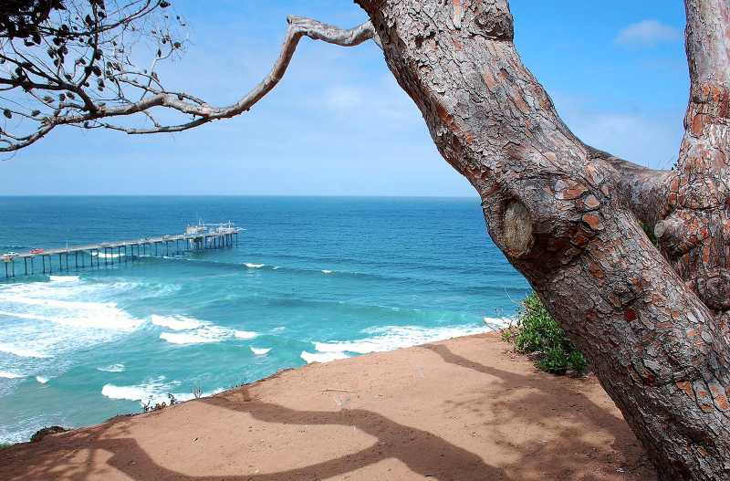 17 Best Things To Do In San Diego That Won