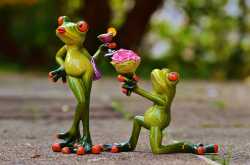 19. Silly Girl, That Yogini