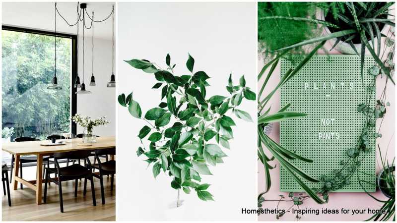 19 Simple Tips That Will Get Your Home Ready For Spring - DIYVila