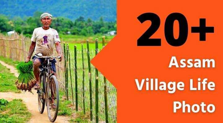 20+ Assam Village Life Captured In A Lens- A Glimpse Into Assamese Lifestyle