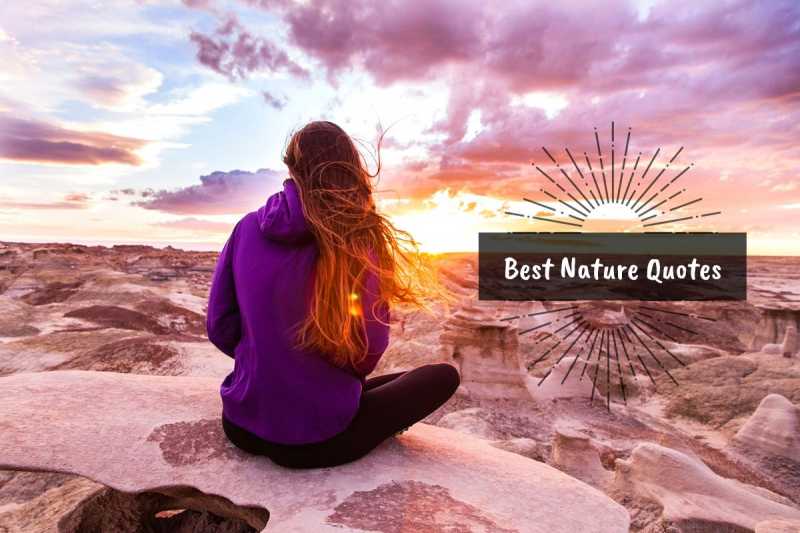 20 Best Nature Quotes: Touching Souls Since Eternity