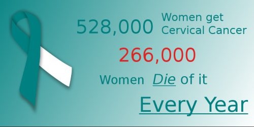 20% Discount On Colposcopy, HPV-HC2, And LBC