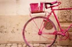 20 Top Exercises to Lose Weight …