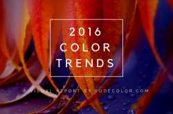 2016 Color Trends & Mood Boards For Design Projects