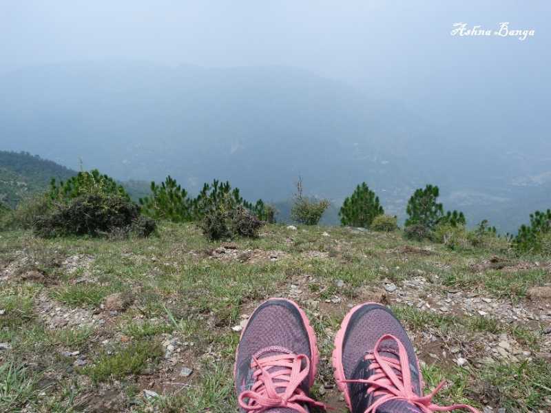 2016 Recap; Hello 2017!