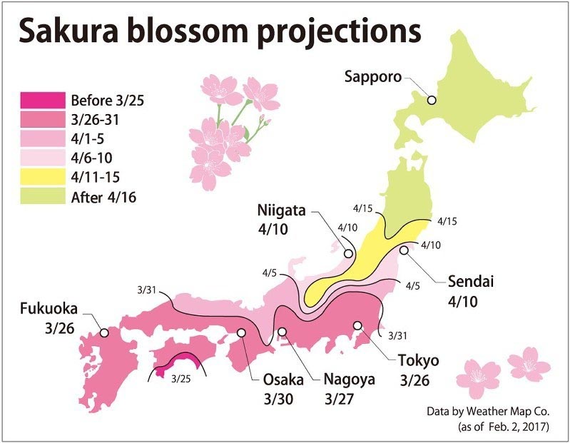 2017 Cherry Blossom Forecast : Tokyo MARCH 25 - APRIL 02!