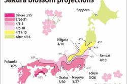 2017 Cherry Blossom Forecast : Tokyo MARCH 25 - APRIL 02!