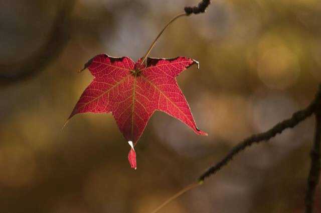 2018- The Year That Was.