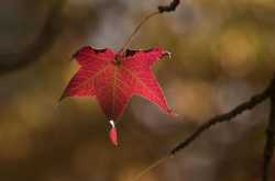 2018- The year that was.