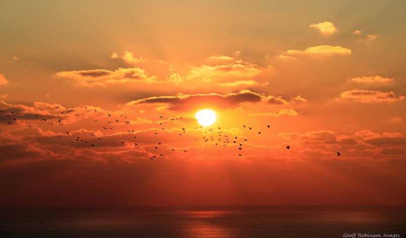 21 June Summer Season Know Why Days Are Becoming Shorter And Night Longer From Today