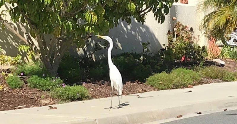 21 Ways To Better Your Life...