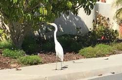 21 ways to better your life...