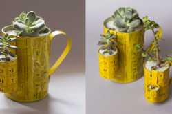 220v of love for Succulents