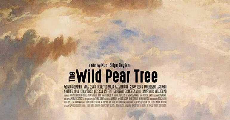 228. Turkish Director Nuri Bilge Ceylan’s Film “Ahlat Agaci” (The Wild Pear Tree) (2018) (Turkey):  A Slow-paced, Contemplative Stunner, Yet Another Ceylan Tale Of An Adult Male Member Within A Traditional Family, Touching On Several Contemporary Problems In Turkey