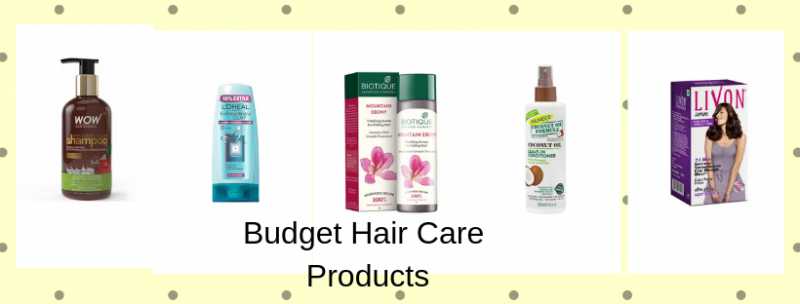 23 Budget Hair Care Products Available In India | Be For Beauty
