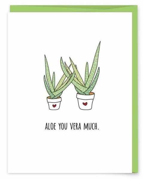 23 Succulent Quotes And Sayings With Images | QuotesBae