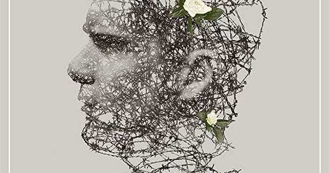 235. US Director And Scriptwriter Paul Schrader’s Film “First Reformed” (2017) (USA):  Schrader’s Best Work, Drawing On Bergman’s “Winter Light” And Tarkovsky’s “Sacrifice”