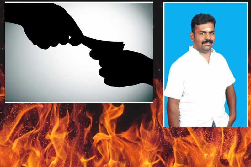 24 à®®à®£à®¿à®¨à¯à®°à®®à¯à®®à¯ à®ªà®¾à®°à¯ à®¨à®à®¤à¯à®¤à®¿à®à¯à®à¯ ! à®ªà¯à®²à®¿ à®à®°à®à¯à®à¯ à®à®à¯à®à®¿à®à¯à®à¯ ! à®®à®¾à®®à¯à®²à¯ à®®à®à¯à®à¯à®®à¯ à®à¯à®±à¯à®¯à®à¯à®à¯à®à®¾à®¤à¯ ! | Vinavu