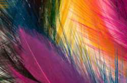 240X320 ABSTRACT, DESIGN & OTHERS 39