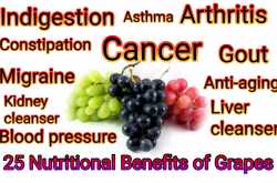 25 Nutritional Benefits of Grapes