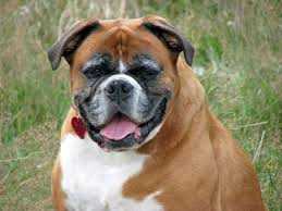 26/10/2013 My Cheating Human