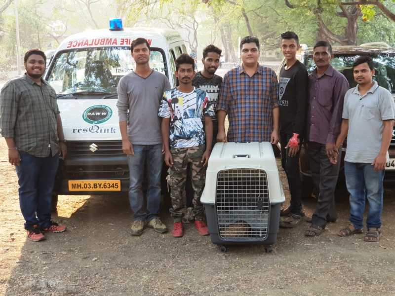 26 Year Old Rescued 10,000+ Animals - Me Mumbai