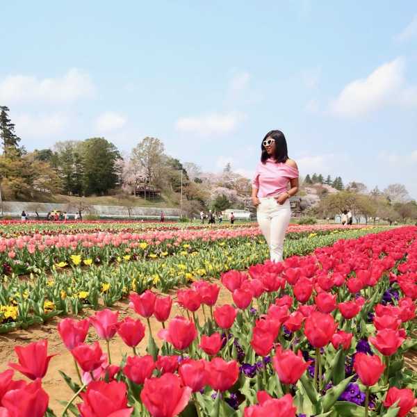 3 Best Places To See Tulips In Tokyo - Viva La Highstreet!