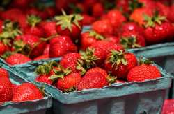 3 Summer Fruits and their Health Benefits