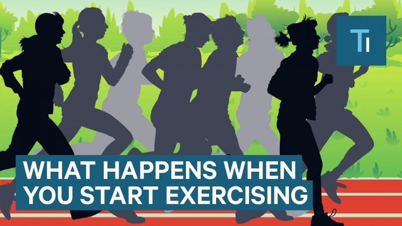 3 Things Happens To Your Body When You Start Exercising Regularly | Suke India