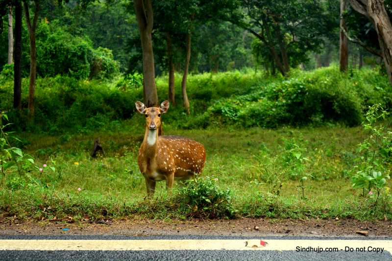 3 States In 3 Days : Day 1 Karnataka - Tamilnadu