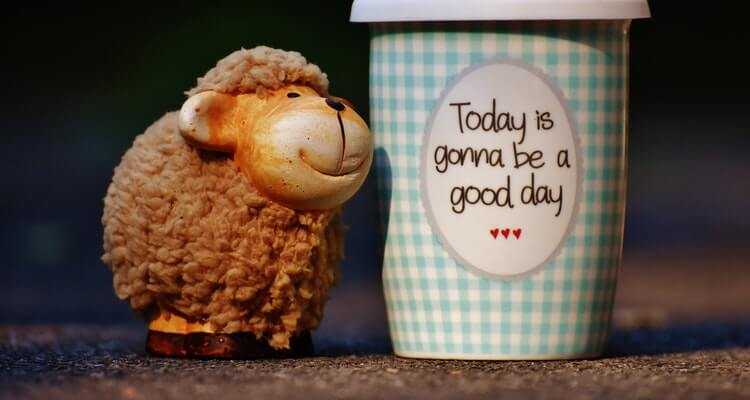 30 Quotes About Living Your Life To The Fullest And In The Moment