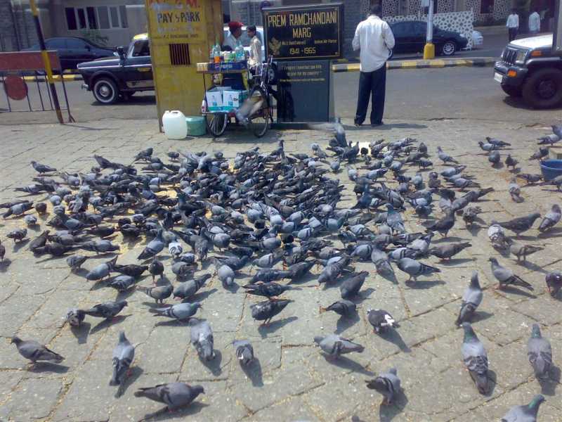 301 Moved Permanently