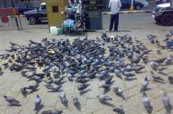 301 moved permanently