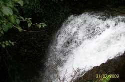 301 moved permanently