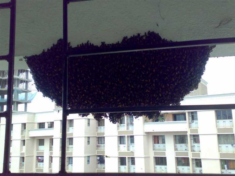 301 Moved Permanently