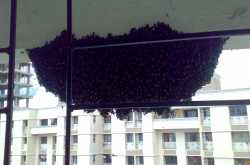 301 moved permanently