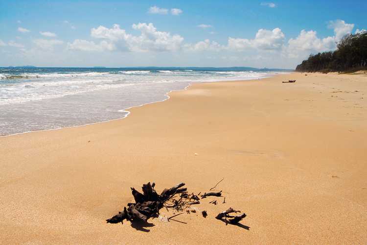 32 Best Beaches In Goa | Hoteldekho Blog