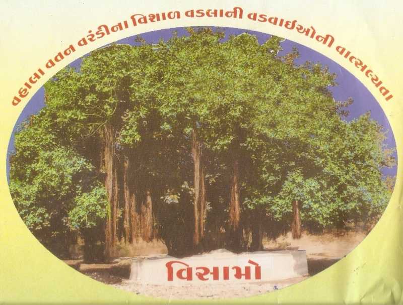 350  Varsh Junoou Vad (banyan Tree)