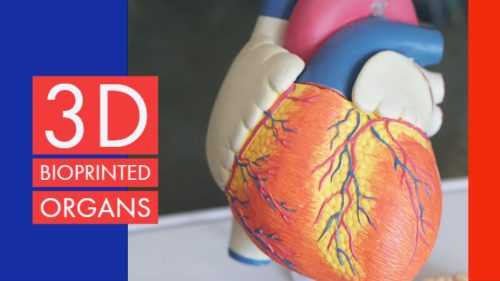 3D Bioprinted Organs: Future Of Healthcare