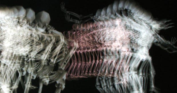 3D Modeling And Animation Process