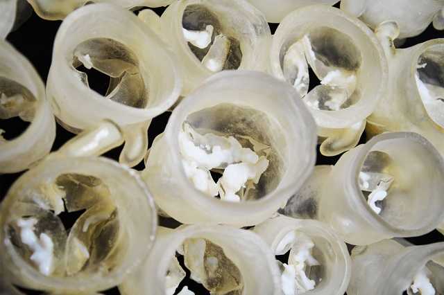 3D Printed Heart Valves