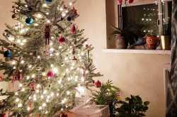 4 AM on an uneventful Thursday