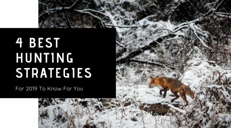 4 Best Hunting Strategies For Your Next 2019 Trip