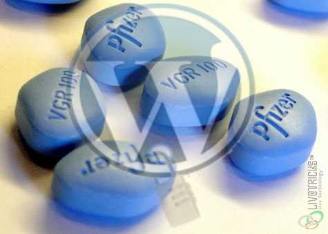 4 Ways The Pharma Hack Can Ruin Your WordPress Website