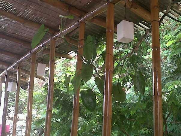 4 Months, 3 Places, And Everything Else